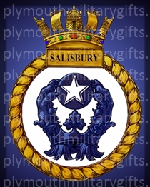 HMS Salisbury Magnet